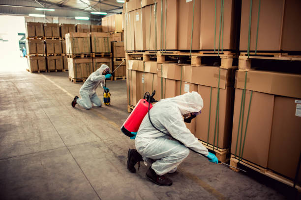 Best Best Pest Control Companies  in Wlowbrook, IL