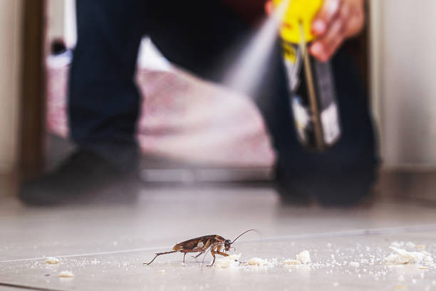 Best Pest Removal Services  in Wlowbrook, IL