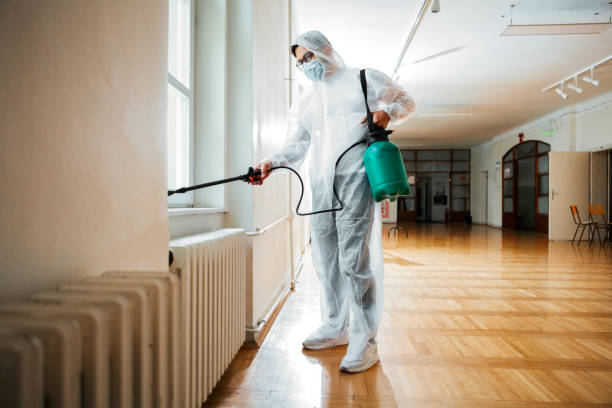 Best Affordable Pest Control Services  in Wlowbrook, IL