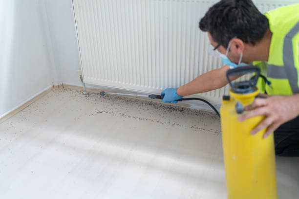Best Exterminator Services  in Wlowbrook, IL