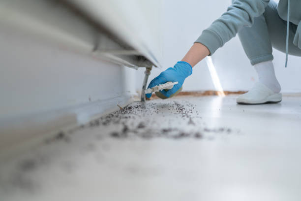 Best Bed Bug Extermination  in Wlowbrook, IL
